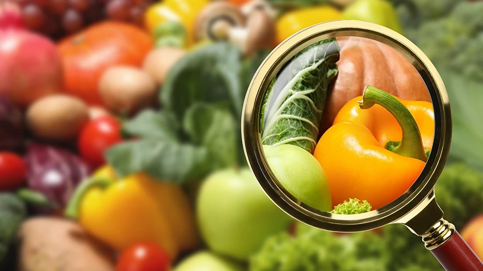 Essential HACCP Training: A Path to Unwavering Food Safety Compliance  - Working at Heights Training Ireland