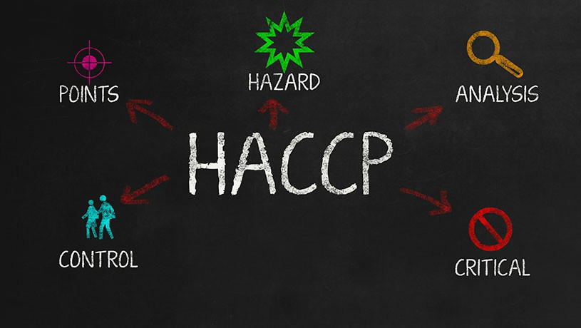 HACCP Training: Essential for Food Safety Compliance in Dublin, Cork, Galway, and Beyond - Working at Heights Training Article